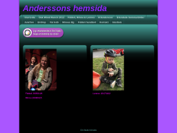 andersson.dinstudio.se