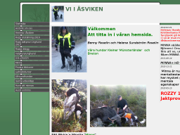 asviken.dinstudio.se
