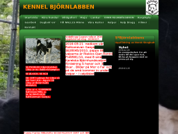 bjornlabben.dinstudio.se