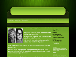 dinfrisor.dinstudio.se