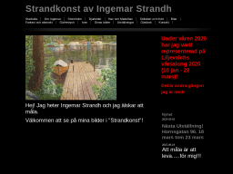 ingemarskonst.dinstudio.se