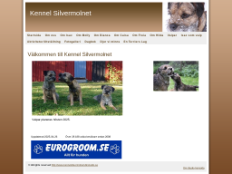 kennelsilvermolnet.dinstudio.se