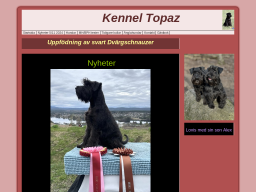 kenneltopaz.dinstudio.se