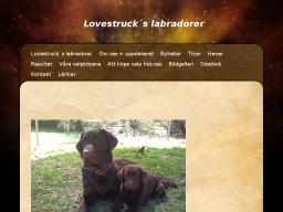 lovestrucks.dinstudio.se