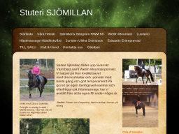 sjomillan.dinstudio.se