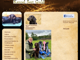 sortguld.dinstudio.se