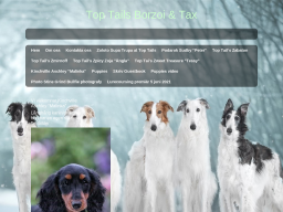 toptails.dinstudio.se