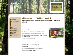 vallbacka.dinstudio.se