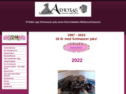 www.adiolas.com