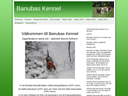 www.banubas.se