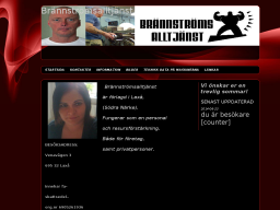 www.brannstromsalltjanst.se