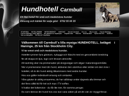 www.carmbull.se