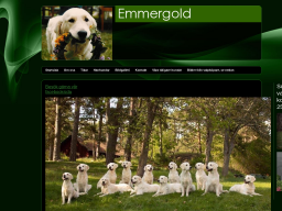 www.emmergold.com