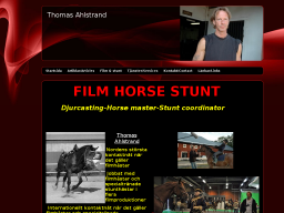 www.filmhorsestunt.se