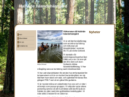 www.hallvide.se