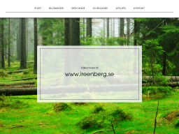 www.ireenberg.se