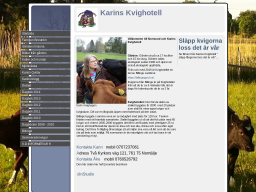 www.karinskvighotell.se