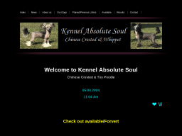 www.kennelabsolutesoul.com