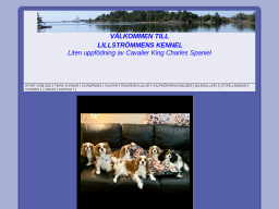 www.lillstrommens.se