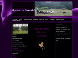 www.monkanaronius.se