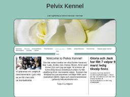 www.pelvix.se