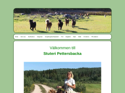 www.pettersbacka.se