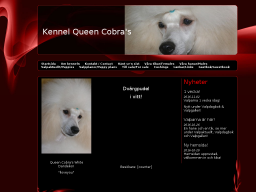 www.queencobra.se