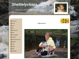 www.sheltielyckans.se