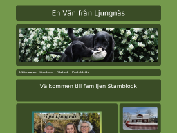 www.stamblock.se