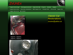 www.zvunex.se